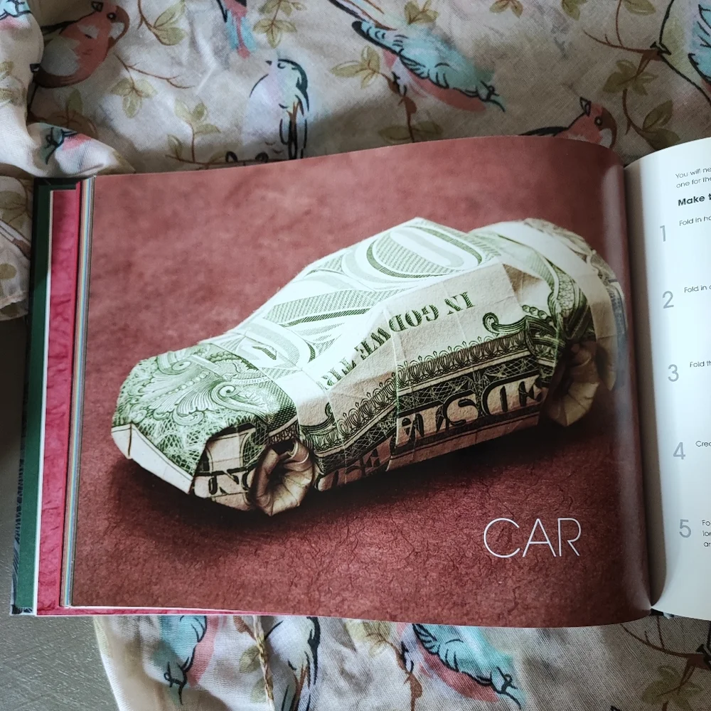 Extreme Origami Book NEW by Won Park Illustrations with Instructions